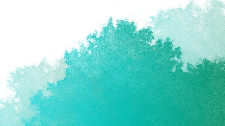 Are you following us on LinkedIn yet?