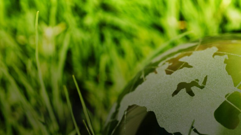 REACH Fees Revised: SME Validation Required, Higher Fees from Nov 5, 2025 for large sized companies